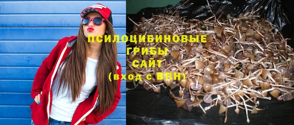 мдпв Карталы